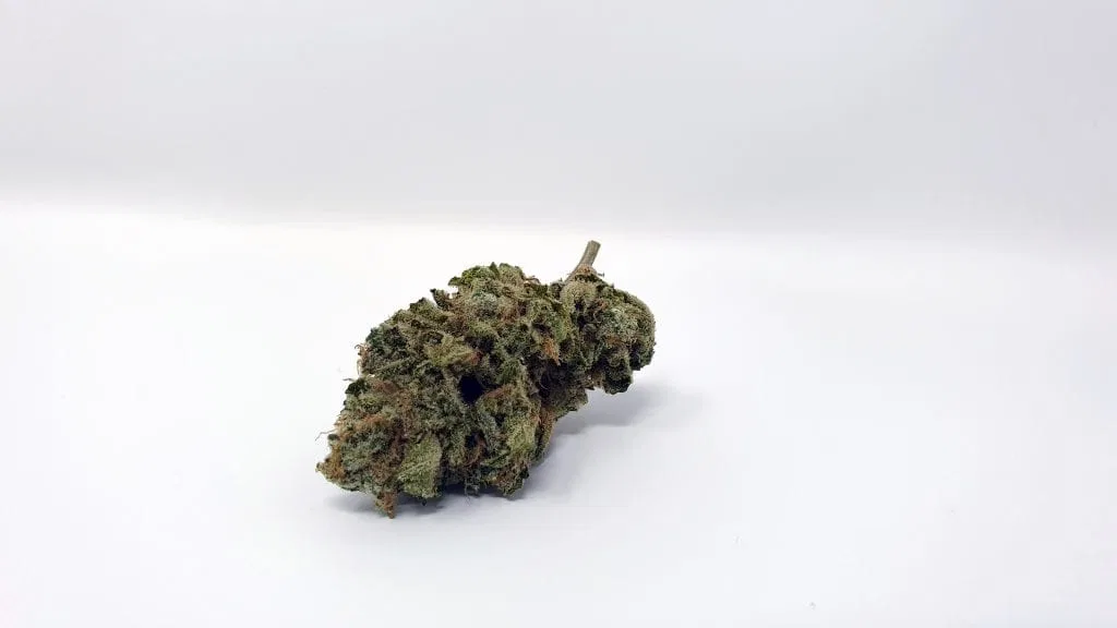 ZkittleZ cannabis flower from the original UK review archive.