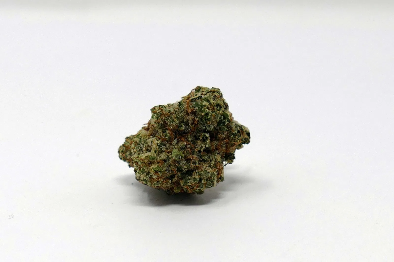 Zookies