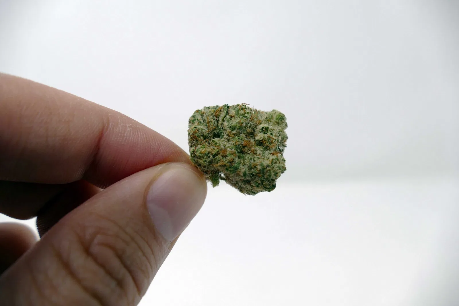 Zookies cannabis flower from the original UK review archive.